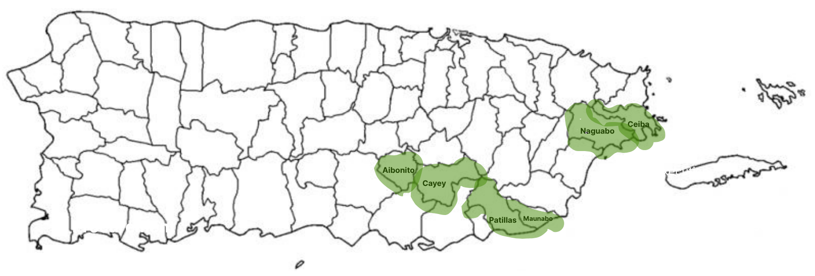 Mapa de Puerto Rico con los municipios del proyecto BTA marcados en verde: Aibonito, Cayey, Patillas, Maunabo, Naguabo y Ceiba